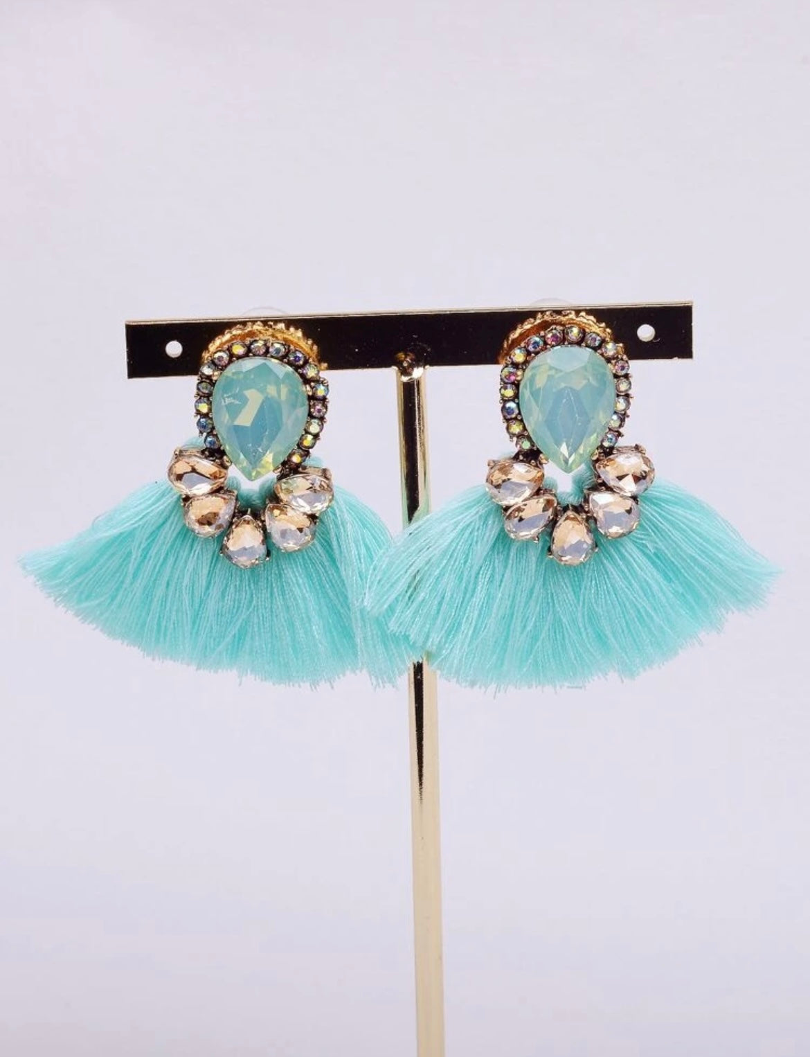 Fringe with Rhinestone Jewel Earrings